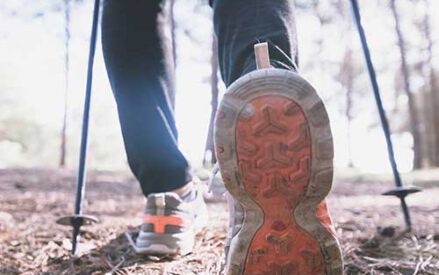 Neuer Nordic Walking Kurs: Wandern/Walken in „10 Schritten“